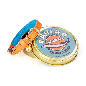 Classic Shop 49