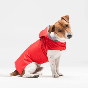 mode tendance Woofit Imperméable Pour Chien Toutes Tailles 25
