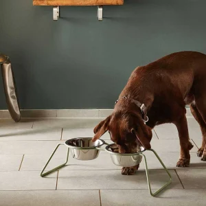 MiaCara Double écuelle Design Pour Chien Cena ultratendance 11